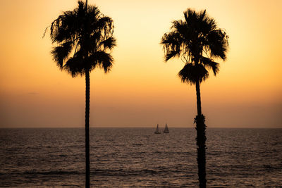 Silhouette palm tree by sea against sky during sunset