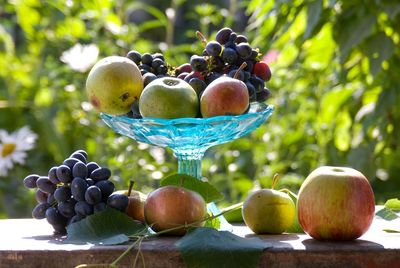 Close-up of apples on table