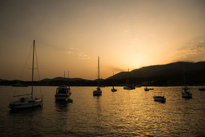 Sailboats moored in marina at sunset