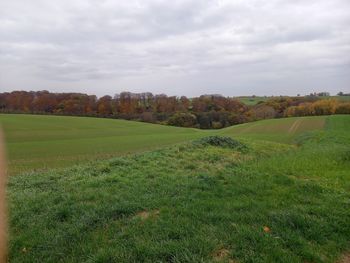 Scenic view of field against sky