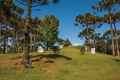 Garden with sculptures part of the open-air museum felicia leirner, near campos do jordao, brazil.