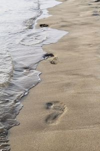 High angle view of footprints on beach