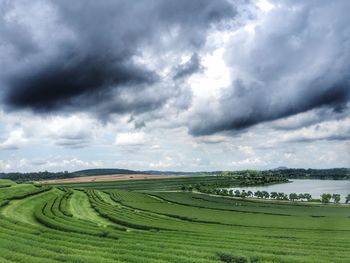 Scenic view of agricultural field against sky