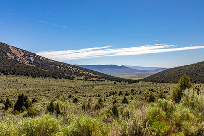 Scenic view of landscape and mountains against blue sky