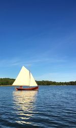 Boats sailing in sea