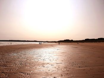 Scenic view of beach against clear sky during sunset