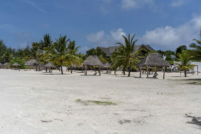 Palm trees on beach against sky