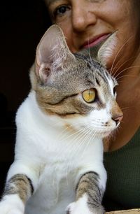 Close-up portrait of a cat