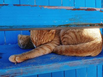 High angle view of food on table