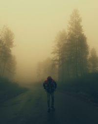 Man walking on road amidst trees in forest during foggy weather