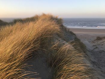 Scenic view of dunes in front of the sea against clear sky