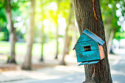 Close-up of birdhouse on tree trunk