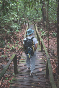 Rear view of man walking in forest