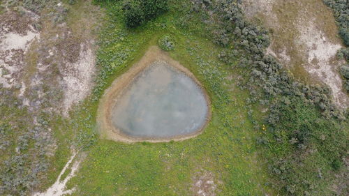 High angle view of grass in lake