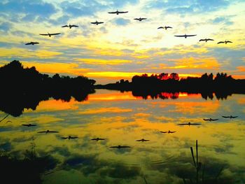 Birds flying over calm lake at sunset