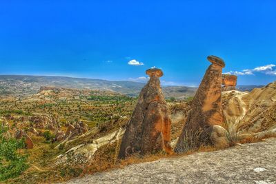 View of trees on rock against blue sky
