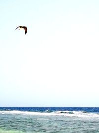 Seagull flying over sea against clear sky