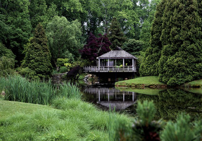 Scenic view of lake in forest