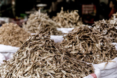 Close-up of dried for sale in market