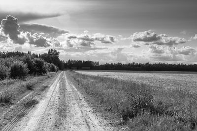 A countryside road in türi, estonia