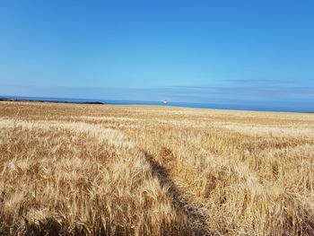 Scenic view of field against clear blue sky