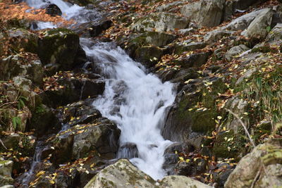 Scenic view of waterfall