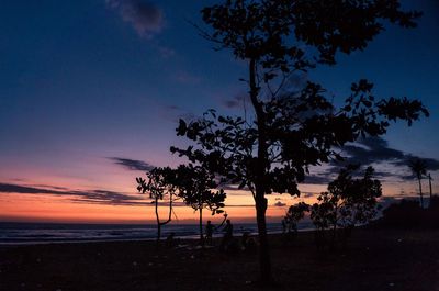 Silhouette trees on beach against sky during sunset