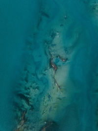 High angle view of person swimming in sea