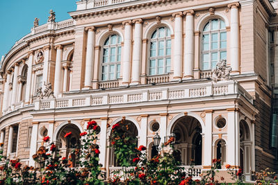 National odessa national academic opera and ballet theatre. architectural monument. travel 