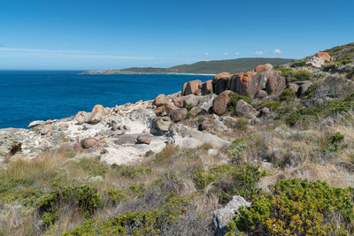 Torndirrup national park close to albany, western australia