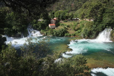 Scenic view of waterfall in forest