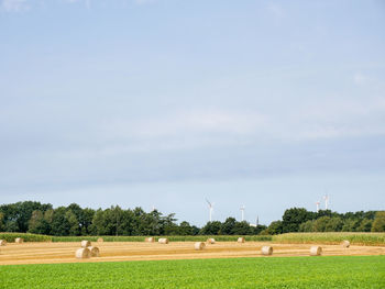 Crops and hay bales on farms against sky