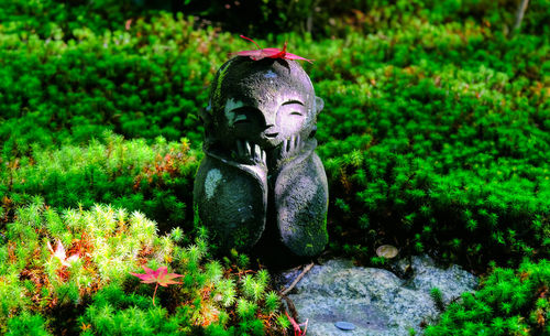 Statue amidst plants in garden