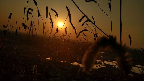 Close-up of silhouette man against sunset sky