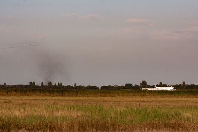 Scenic view of agricultural field against sky