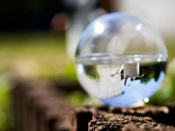 Close-up of crystal ball on field