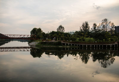 Reflection of trees in river