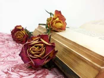 Close-up view of flowers on table