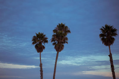 Low angle view of trees against sky