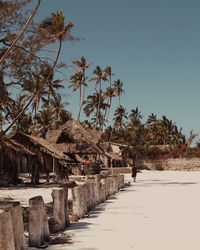 Palm trees growing by beach huts against clear sky during sunny day