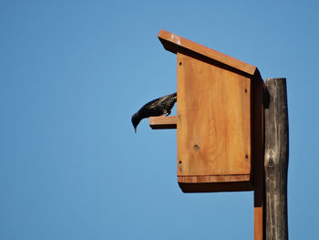 Low angle view of bird perching on birdhouse