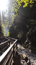 Scenic view of trees