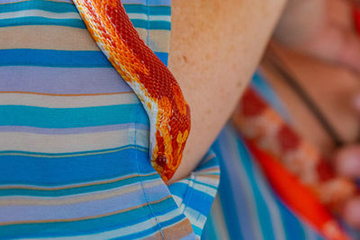 Veterinary professional handling a non-venomous snake known as the corn snake during a class