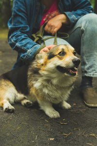 Midsection of man with dog