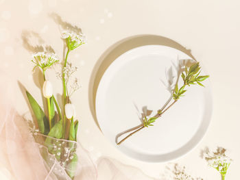 Spring flower holiday composition with white tulips, gypsophila and green twig on a white plate 