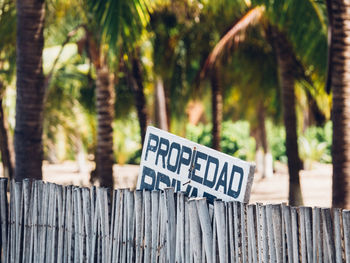 Close-up of information sign on fence against trees