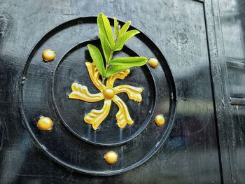 Directly above shot of orange fruit on table