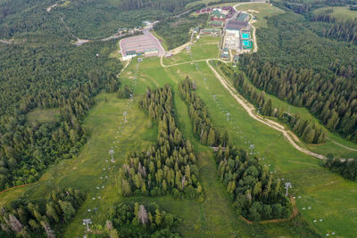 High angle view of trees on field