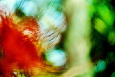 Defocused image of tree against sky