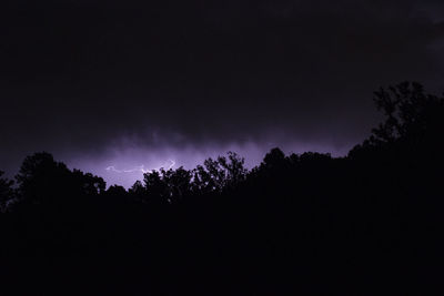 Low angle view of silhouette trees against sky at night